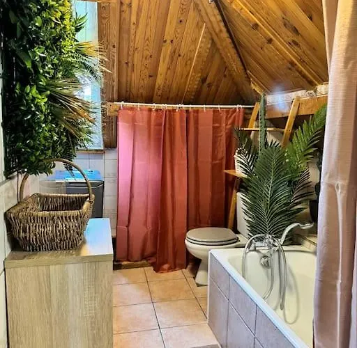 Un Dans La 公寓 科尔马